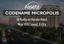 Assetz Codename Micropolis PH Homz N Space